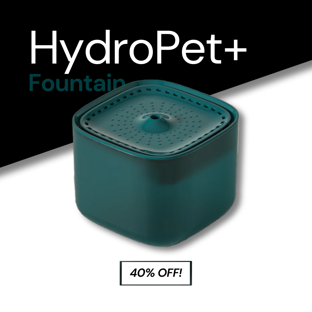 HydroPet+ Cat Fountain | Cat  Water Fountain