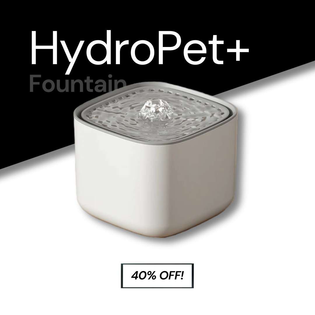 HydroPet+ Cat Fountain | Cat  Water Fountain